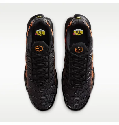 Кроссовки мужские Nike Air Max Plus MenS Shoes Black DM0032-025