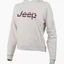 Худи мужское Jeep Hooded Cropped Sweatshirt Striped Print Beige O102609-J863
