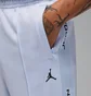 Штаны мужские Air Jordan Essentials Tracksuit Bottoms Light Blue HF9341-407