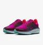 Кроссовки женские Nike Air Winflo 11 Gtx Bordo/Violet HM8871-500