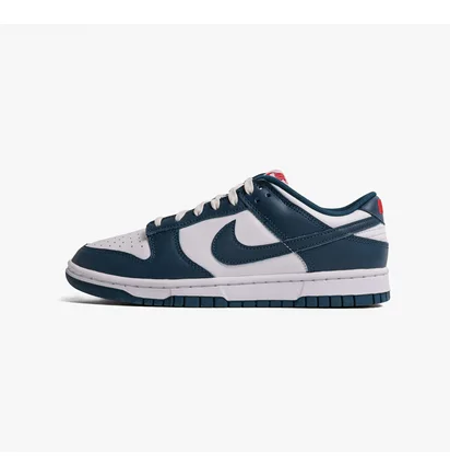 Кроссовки мужские Nike Dunk Low Retro Valerian Blue Dd1391-400