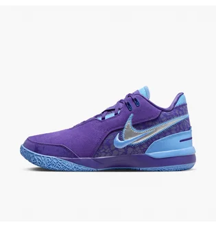 Кроссовки унисекс Nike Zoom Lebron Nxxt Gen Ampd Violet FJ1566-500