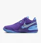 Кросівки унісекс Nike Zoom Lebron Nxxt Gen Ampd Violet FJ1566-500