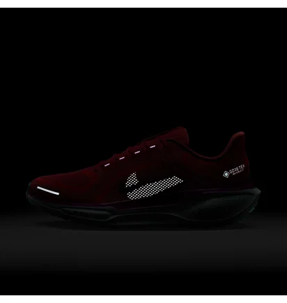 Кроссовки мужские Nike Air Zoom Pegasus 41 Gtx Red HM8872-600