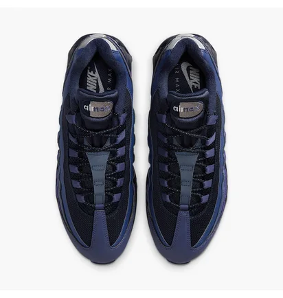 Кроссовки мужские Nike Air Max 95 Violet/Black IB1667-500