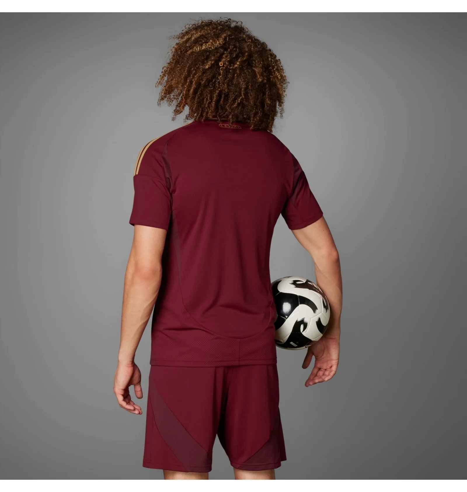 ᐉ Футболка мужская Adidas As Roma 24/25 Home Jersey Bordo IT6058