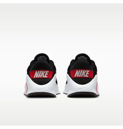 Кроссовки мужские Nike Flex Train Black HV9972-004