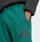 Штаны мужские Adidas Z.N.E. Tracksuit Bottoms Green JF6387