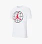 Футболка мужская Air Jordan Winter Utility Mountainside White CZ0400-100