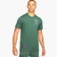 Футболка чоловіча Air Jordan Psg X Paris Saint-Germain Logo T-Shirt Green DB6514-333
