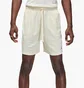 Шорты мужские Air Jordan Sport Dri-Fit White FN5816-113