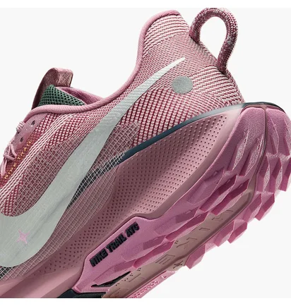 Кросівки жіночі Nike Pegasus Trail 5 Gtx Pink/Violet DV3865-500