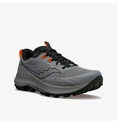 Кросівки чоловічі Saucony Peregrine 13 Gtx Grey S20841-05