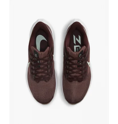 Кросівки жіночі Nike Air Zoom Pegasus 39 Claret Brown Dh4072-600