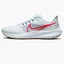 Кроссовки мужские Nike Pegasus 39 Running Shoes White Dh4071-007