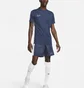 Шорты мужские Nike Global Football Dri-Fit Academy Blue DV9742-451