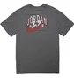 Футболка мужская Air Jordan 23 Swoosh Tee Grey CZ8378-091