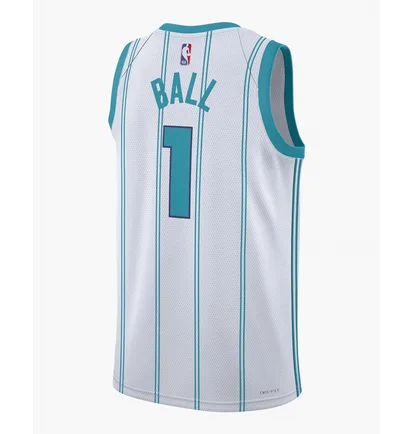 Майка мужская Nike Charlotte Hornets Association Edition 2022/23 Dri-Fit Nba Swingman Jersey White DN2071-100