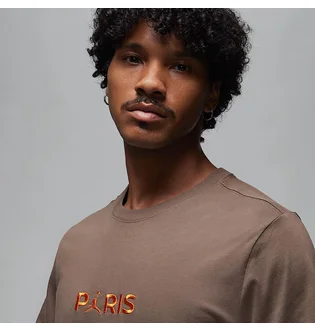 Футболка мужская Air Jordan Psg Ss Wordmark Tee Brown DZ2940-274