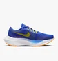 Кросівки чоловічі Nike Zoom Fly 5 Blue DM8968-402
