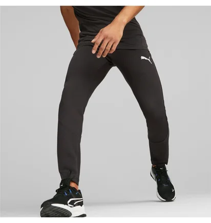 Штаны мужские Puma Evostripe Black 673315-01