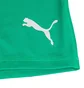 Шорты женские Puma Liga Baselayer Short Green 655924-05