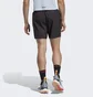 Шорты мужские Adidas Terrex Multi Shorts Black Hm4013