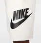 Шорты мужские Nike Club Alumni Ft White FQ4950-133