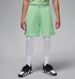 Шорты мужские Air Jordan Sport Dri-Fit Shorts Green HF9910-376