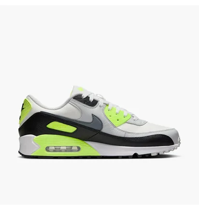 Кросівки чоловічі Nike Air Max 90 Gtx Violet FD5810-102