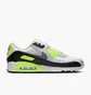 Кросівки чоловічі Nike Air Max 90 Gtx Violet FD5810-102
