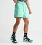 Шорти чоловічі Air Jordan Essentials 5 Poolside Shorts Turquoise FQ4562-349