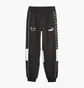 Штаны мужские Puma Bmw M Rsport Sds Black 621867-01