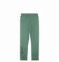 Штаны унисекс Air Jordan X Nina Chanel Pant Stone Green FZ7518-398