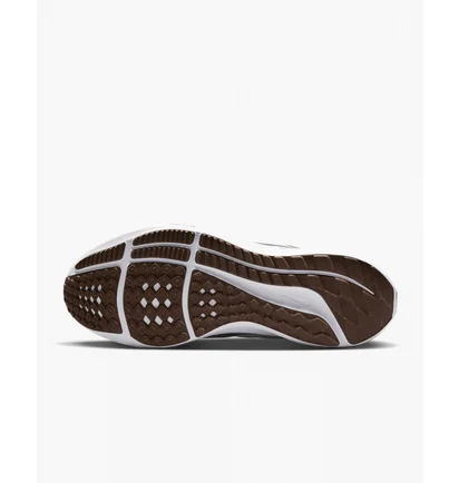 Кросівки жіночі Nike Air Zoom Pegasus 39 Claret Brown Dh4072-600
