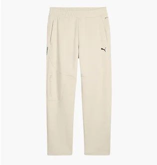 Штани чоловічі Puma Pumatech Beige 629682-87