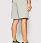 Шорты мужские Nike Shorts M Nk Flc Park20 Short Kz Grey CW6910-063