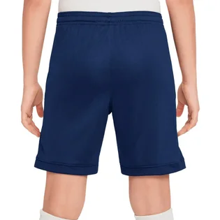 Шорты детские Nike Academy Dri-Fit 25/27 Blue FZ9784-410