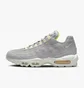 Кроссовки мужские Nike Air Max 95 Next Nature Grey FJ4826-001