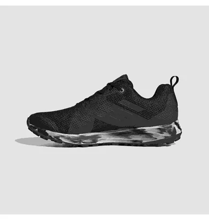 Кроссовки мужские Adidas Terrex Two Trail Running Black Bc0496