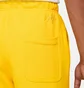 Шорти чоловічі Air Jordan Essentials Fleece Shorts Yellow DA9826-719