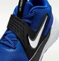 Кроссовки детские Nike Team Hustle D 12 Blue HF6279-400