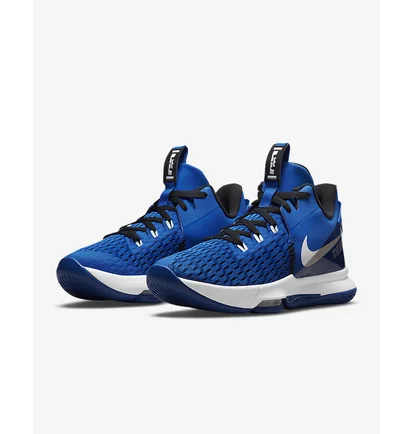 Кроссовки унисекс Nike LEBRON WITNESS V Blue CQ9380-400