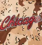 Худи мужское MITCHELL & NESS Nba Camo Reflective Hoodie Chicago Bulls Camo FPHD1114-CBUYYPPPCAMO