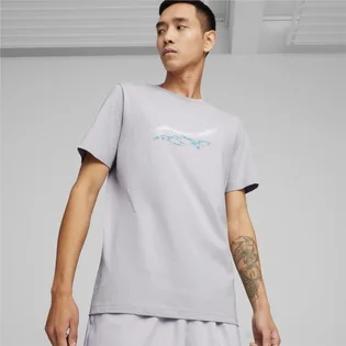 Футболка чоловіча Puma Mercedes-Amg Petronas Motorsport Grey 623759-02