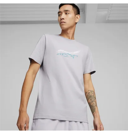 Футболка мужская Puma Mercedes-Amg Petronas Motorsport Grey 623759-02