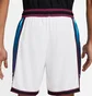 Шорты мужские Nike Dri-Fit White DH7144-100