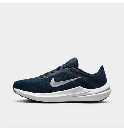 Кроссовки мужские Nike Winflo 10 Running Shoes Blue DV4022-400