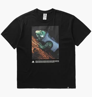 Футболка мужская Nike Acg Oc Iguana Vest Black HJ0889-010