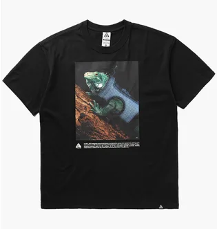 Футболка мужская Nike Acg Oc Iguana Vest Black HJ0889-010